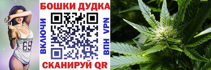 Виды наркотиков купить Беломорск А ПВП  Мефедрон  ГАШ  МЕТАМФЕТАМИН  Cocaine 