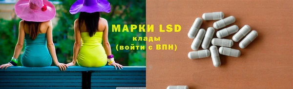 крисы Аркадак