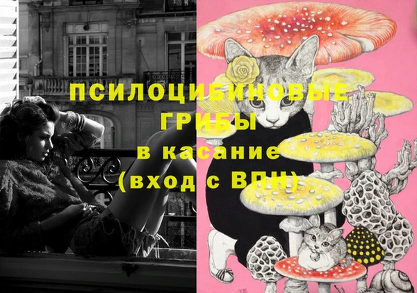 прущая мука Армянск
